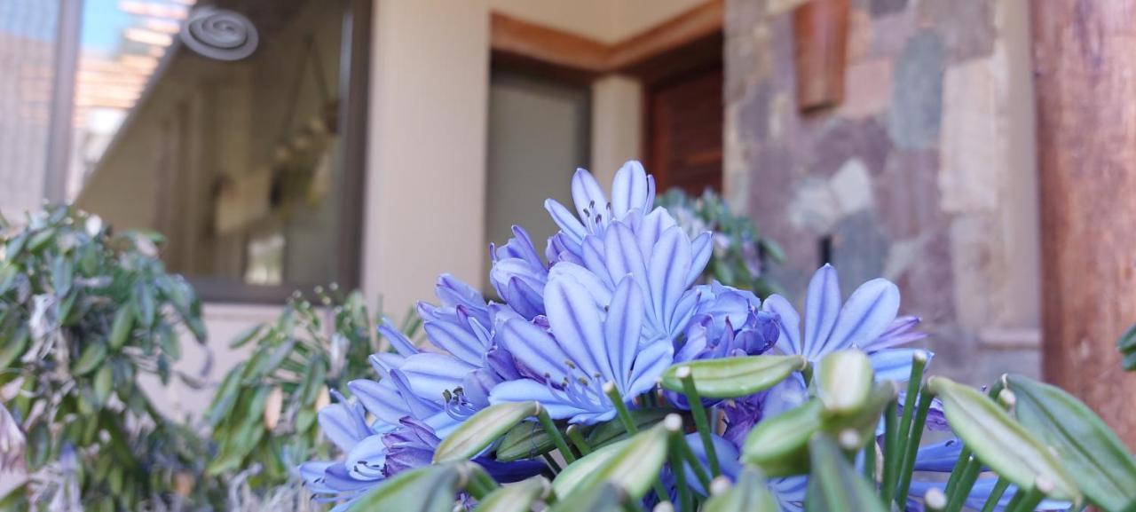 Hotel Tulmas ตีลการา ภายนอก รูปภาพ